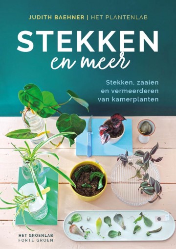 6250 2277 stekken en meer