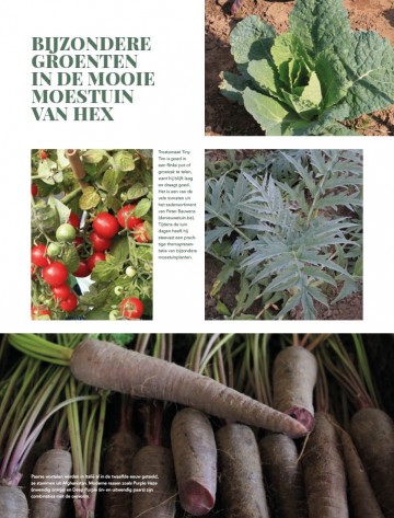 Fordemooiemoestuin136