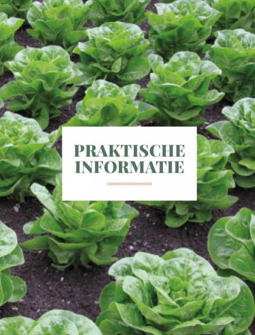 Fordemooiemoestuin15