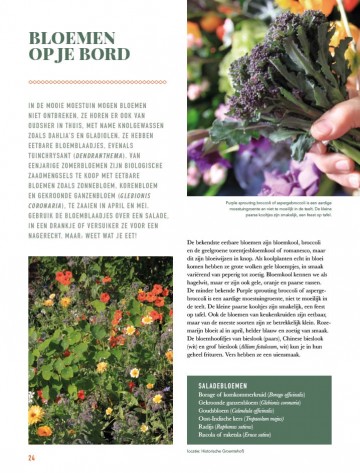 Fordemooiemoestuin24