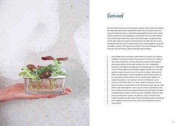 Stekken en meerinkijkcb 2