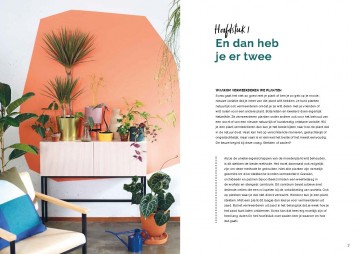 Stekken en meerinkijkcb 4