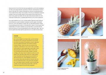 Stekken en meerinkijkcb 5