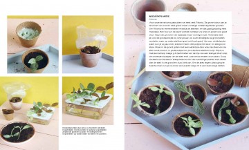 Stekken en meerinkijkcb 6